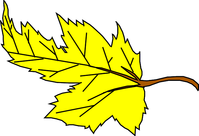Fall, Yellow, Leaf, Cartoon, Plant, Falling, Leaves - Yellow Leaf Clipart (640x439), Png Download