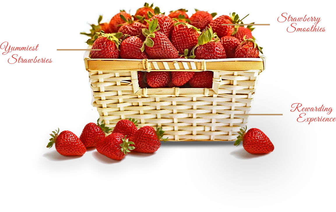 Go To Image - Strawberry (1153x726), Png Download