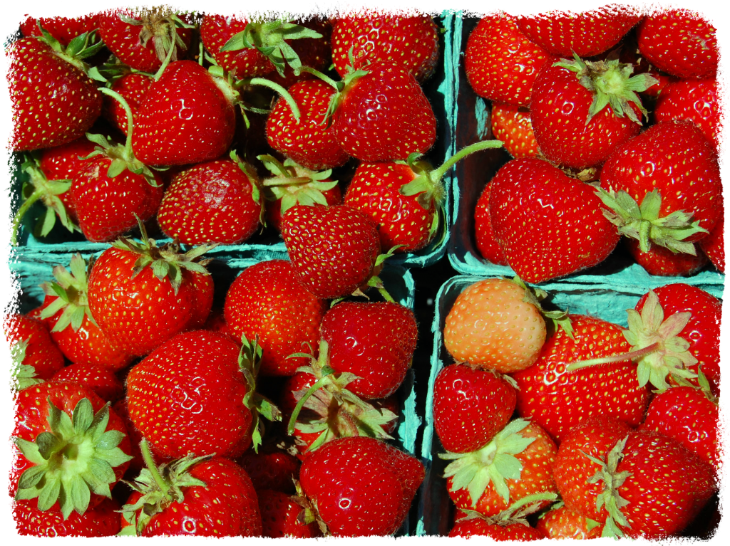 Strawberries-1024×7671 - Strawberry (1024x767), Png Download