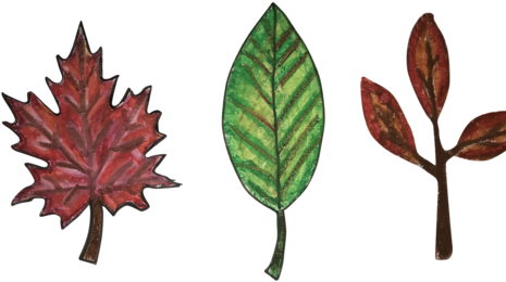 Fall Leaves - Autumn Leaf Color (480x480), Png Download