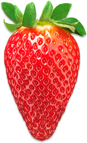 Strawberry (490x494), Png Download