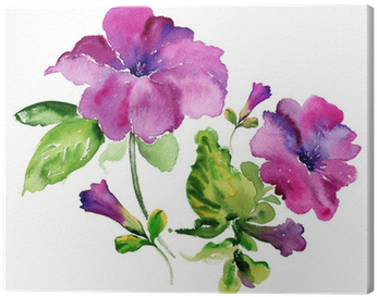 Watercolor Purple Petunia Flowers Canvas Print • Pixers® - Blueink Set Of 40 Guest Towels Buffet Paper Napkins (400x400), Png Download