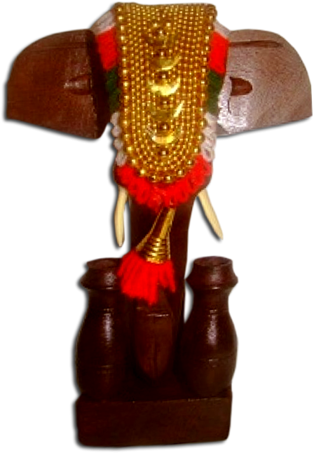 More Views - African Elephant (800x800), Png Download