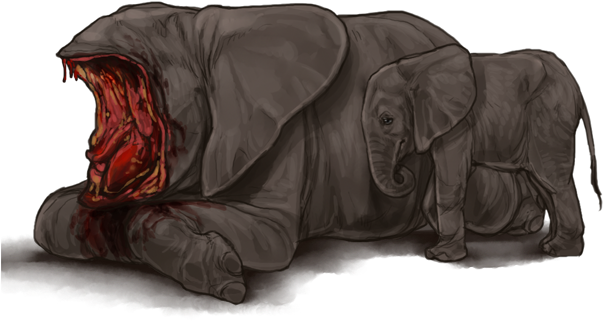 Elephantdramaday - Hippopotamus (640x385), Png Download