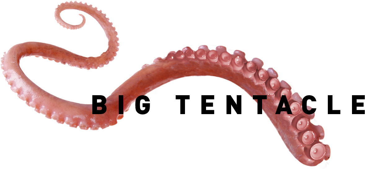 Big Tentacle Political Communications - Communication (1600x632), Png Download