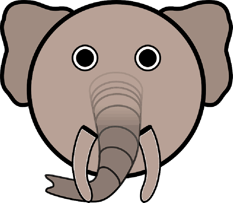 Mb Image/png - Elephant Face Cartoon (800x698), Png Download