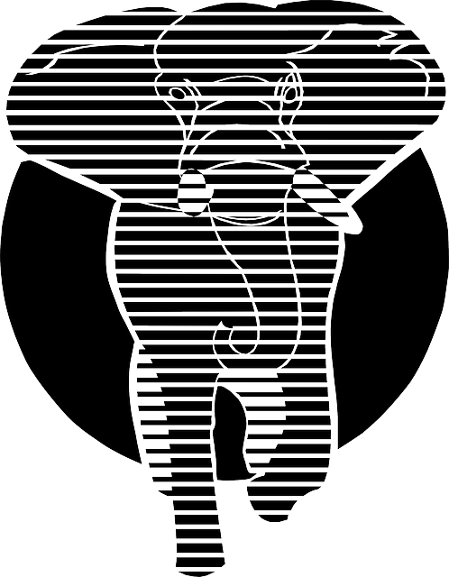 Animals, Head, Outline, Symbol, Mammals, Elephant - White And Black Graphics (498x640), Png Download