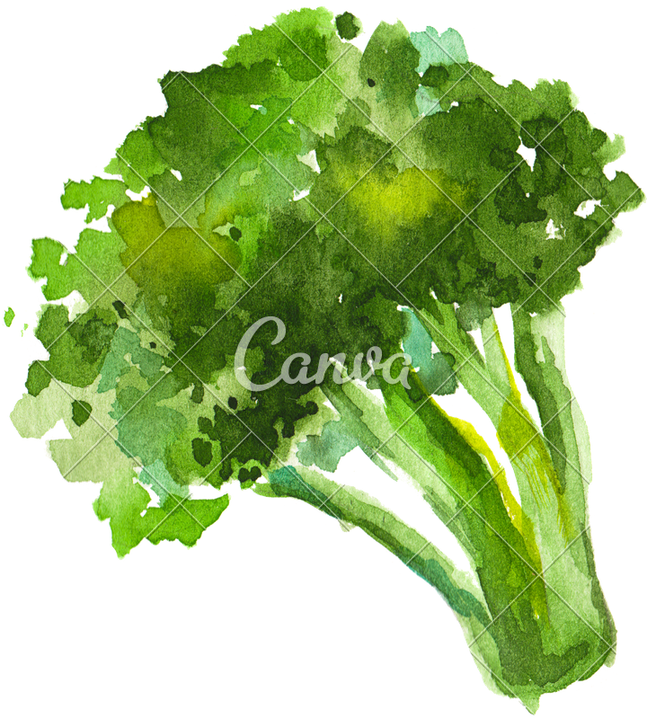 Watercolor Broccoli - Watercolor Painting (720x800), Png Download