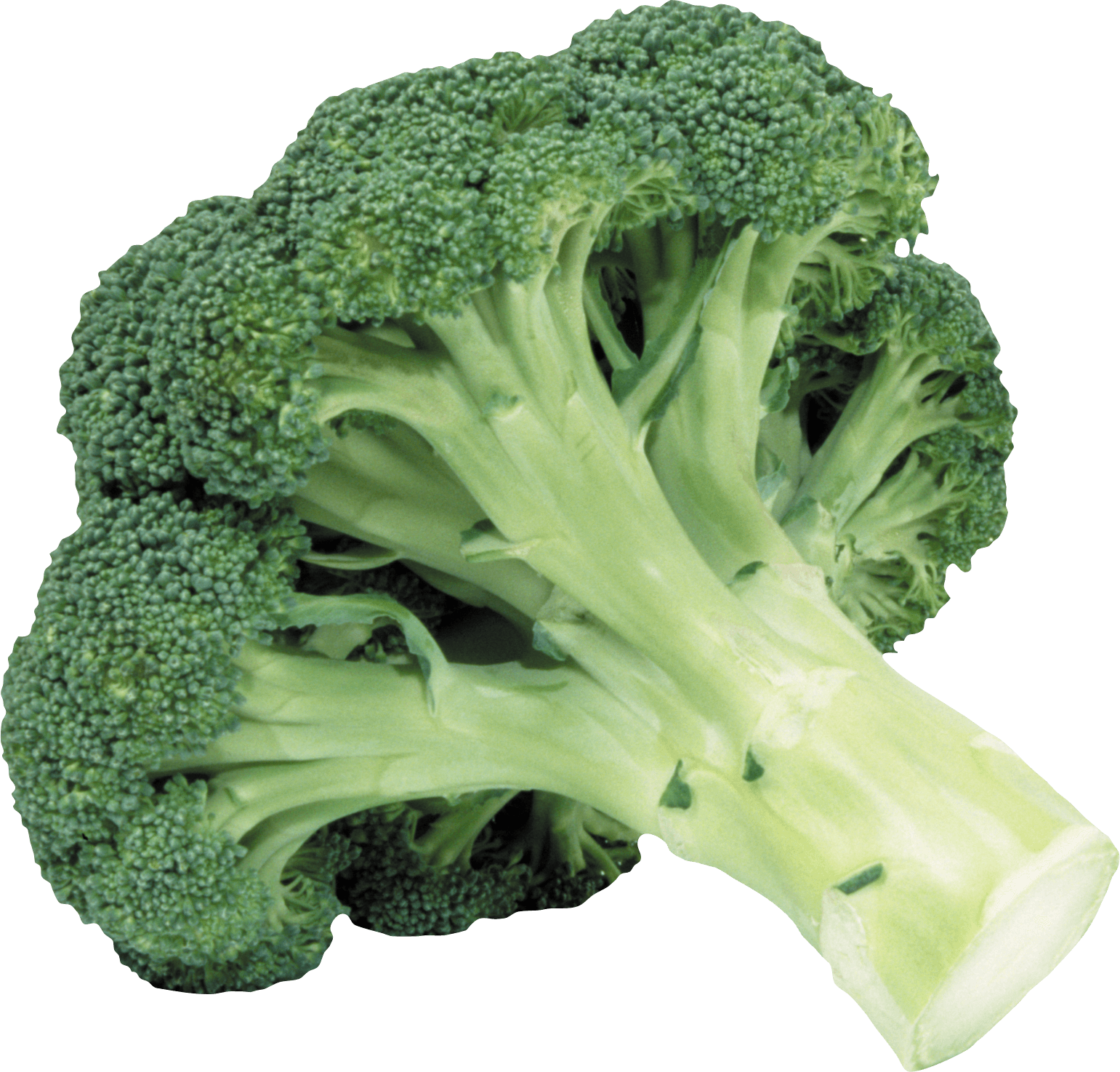Broccoli Drawing Cauliflower - Broccoli Transparent (1541x1474), Png Download