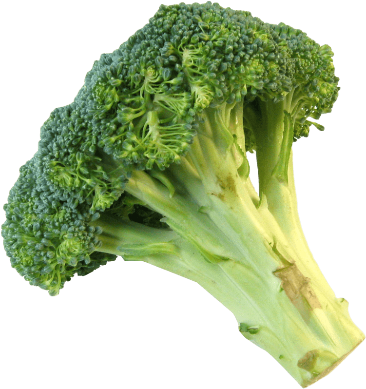 Free Png Fresh Broccoli Png Images Transparent - Broccoli Png (850x840), Png Download