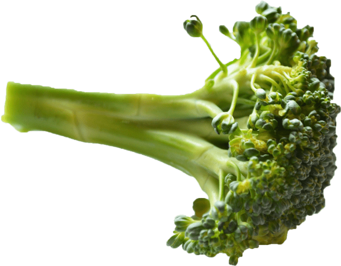Free Png Broccoli Png Images Transparent - Legume De Couleur Verte (850x563), Png Download