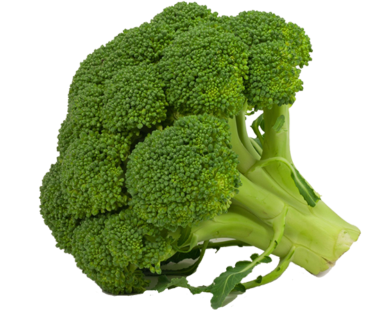 Png Free Download Broccoli White Background Images - Broccoli Per Kg (550x463), Png Download