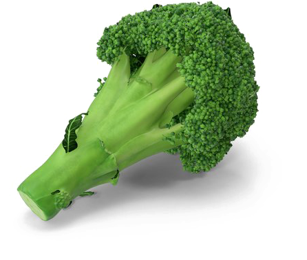 Broccoli Png Transparent Image - Portable Network Graphics (600x600), Png Download