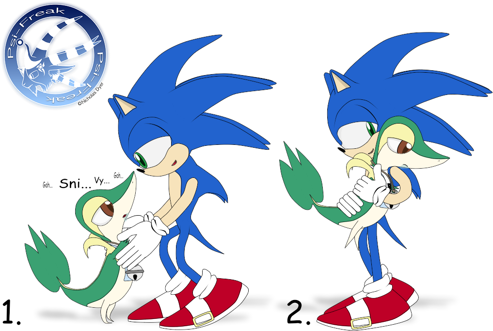 Sanic - Sonic And Snivy (1024x768), Png Download