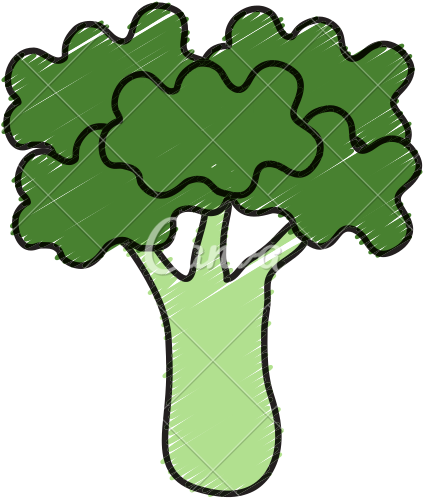 Broccoli Fresh Vegetable Icon Icons By Canva - Vegetable (550x550), Png Download