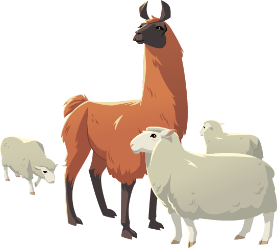 Llama Animal Png - Llamas Png (543x488), Png Download