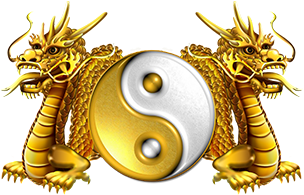 Double Dragon Nope, This Isn't The Arcade Beat Em Up - Illustration (303x473), Png Download