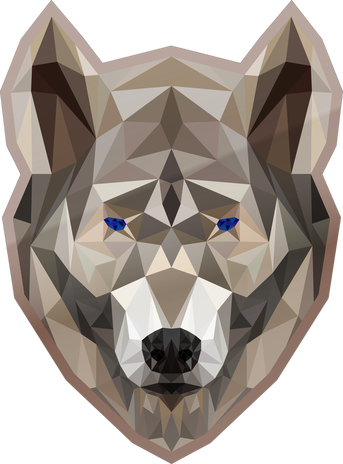 Rsz 1rsz Clwo Head ] - Clwo Eu (343x464), Png Download