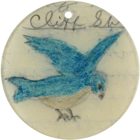 Cliff Swallow - Bluebird (500x500), Png Download