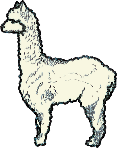 From Jam Nights To Bike Trails, From Obscure Eateries - Spartanburg (400x504), Png Download