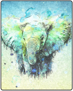 Watercolor Elephant Blanket 40"x50" - Watercolor Elephant (500x500), Png Download