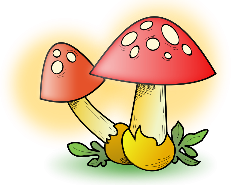 Mushroom Cloud Clip Art Cliparts - Mushroom Clipart (800x618), Png Download