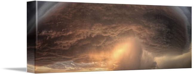 "mushroom Cloud" By Sean R - Leather (650x250), Png Download