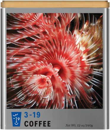 Abstractions I - Led-backlit Lcd Display (480x480), Png Download