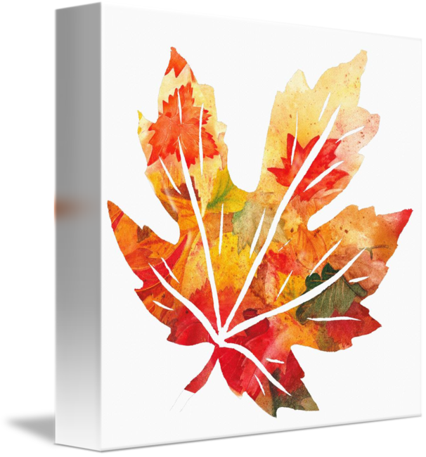 Fall Maple Leaf Watercolor Silhouette By Irina Sztukowski - Maple Leaf Watercolor (606x650), Png Download