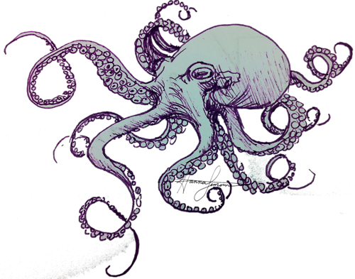 Octopus (500x393), Png Download