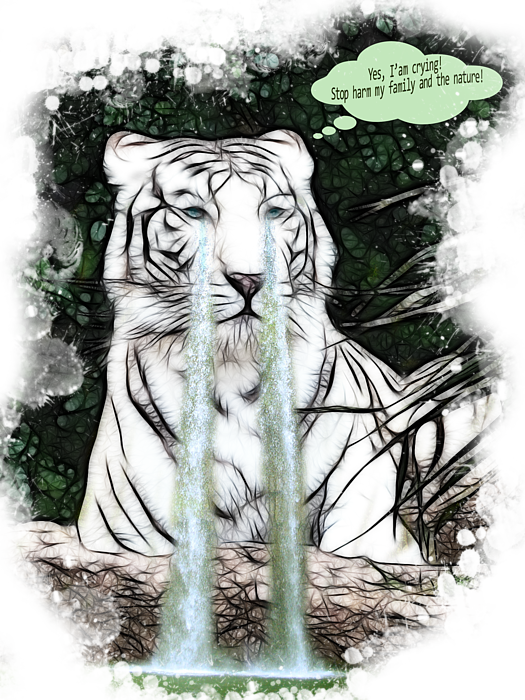 Bleed Area May Not Be Visible - White Tiger Crying (525x700), Png Download