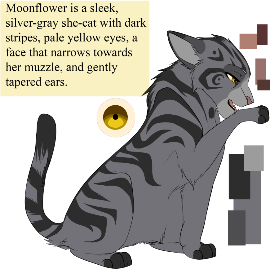 Moonflower By Purespiritflower On Deviantart Png Transparent - Purespiritflower Moonflower (894x894), Png Download