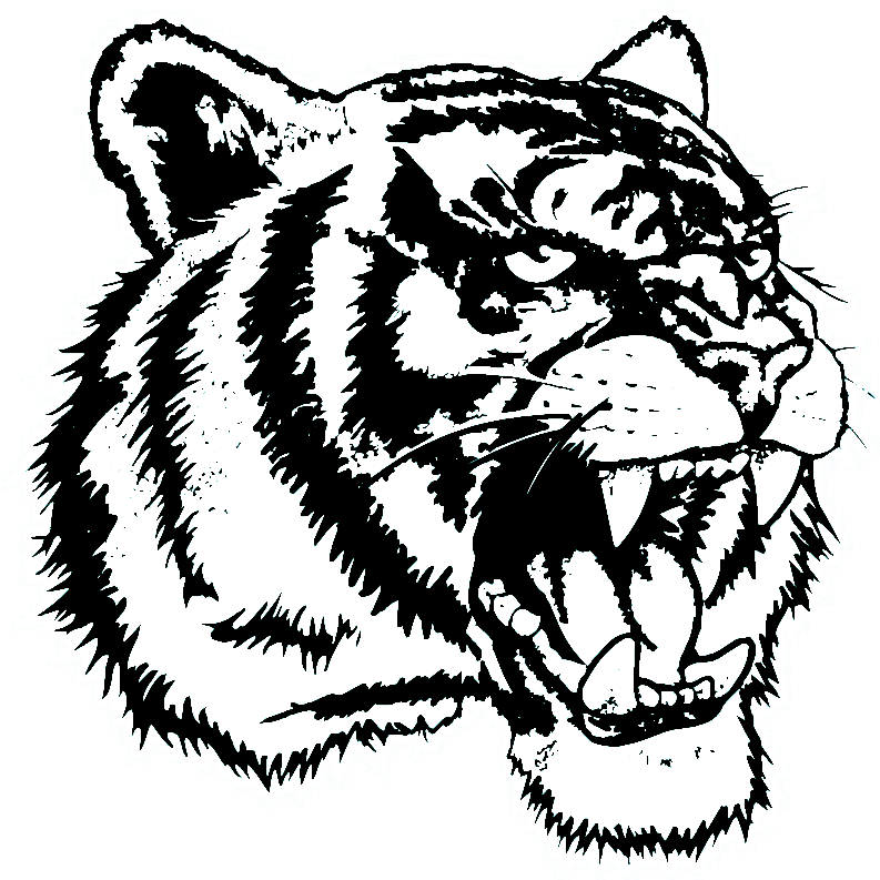 Tiger Titanium Logo - Detroit (899x918), Png Download