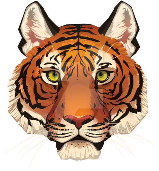 P > - Tiger Face Image Png (600x600), Png Download