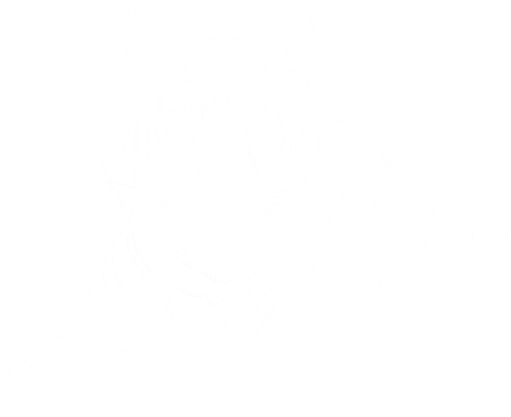 Tiger - Twitter White Icon Png (738x604), Png Download