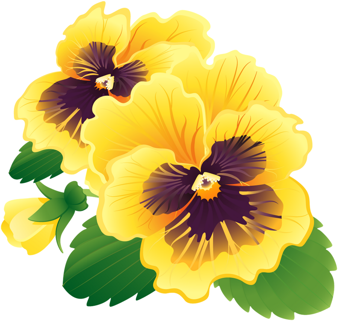 Go To Image - Flower (1600x1346), Png Download