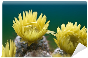 Stock Photography (400x400), Png Download