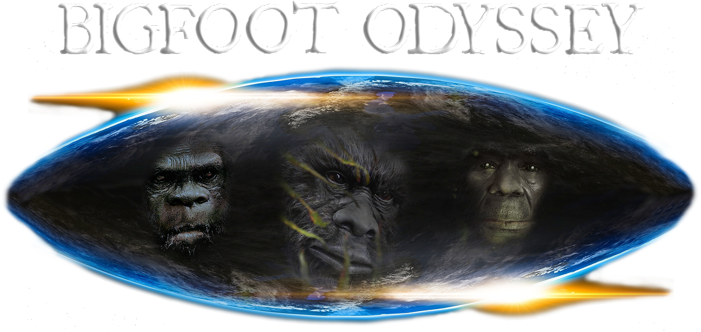 Home (1440x711), Png Download