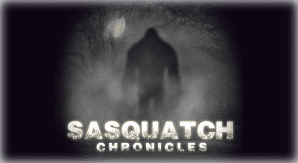 Sasquatch Chronicles Blog - Sasquatch Chronicles (615x336), Png Download