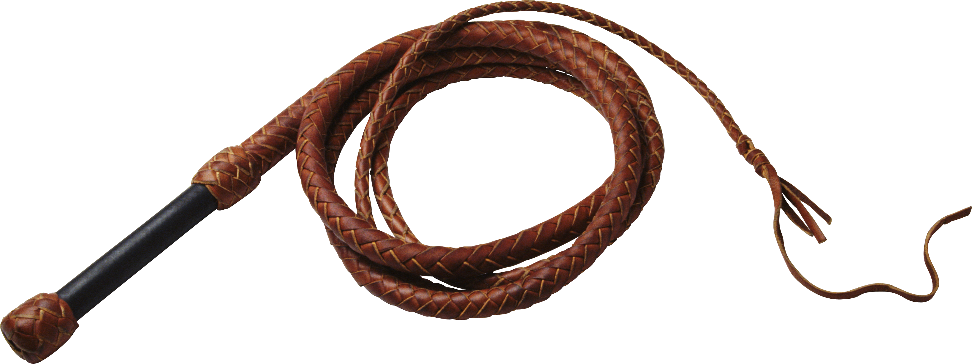 Whip Png (3274x1226), Png Download