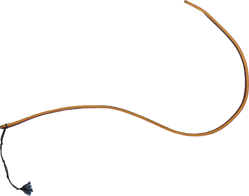 Whip Png Transparent - Whip Transparent (850x670), Png Download