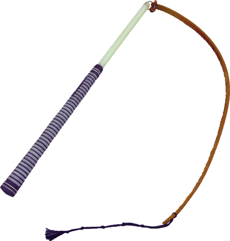 Whip Transparent Png (630x660), Png Download