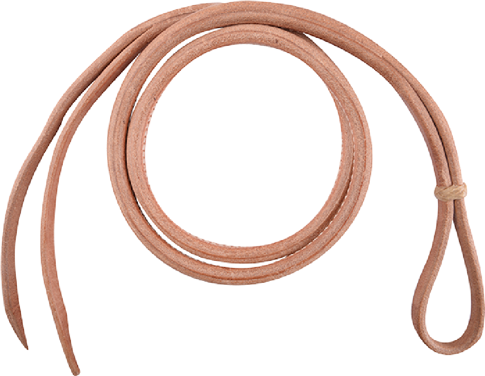 Horse (1200x1200), Png Download