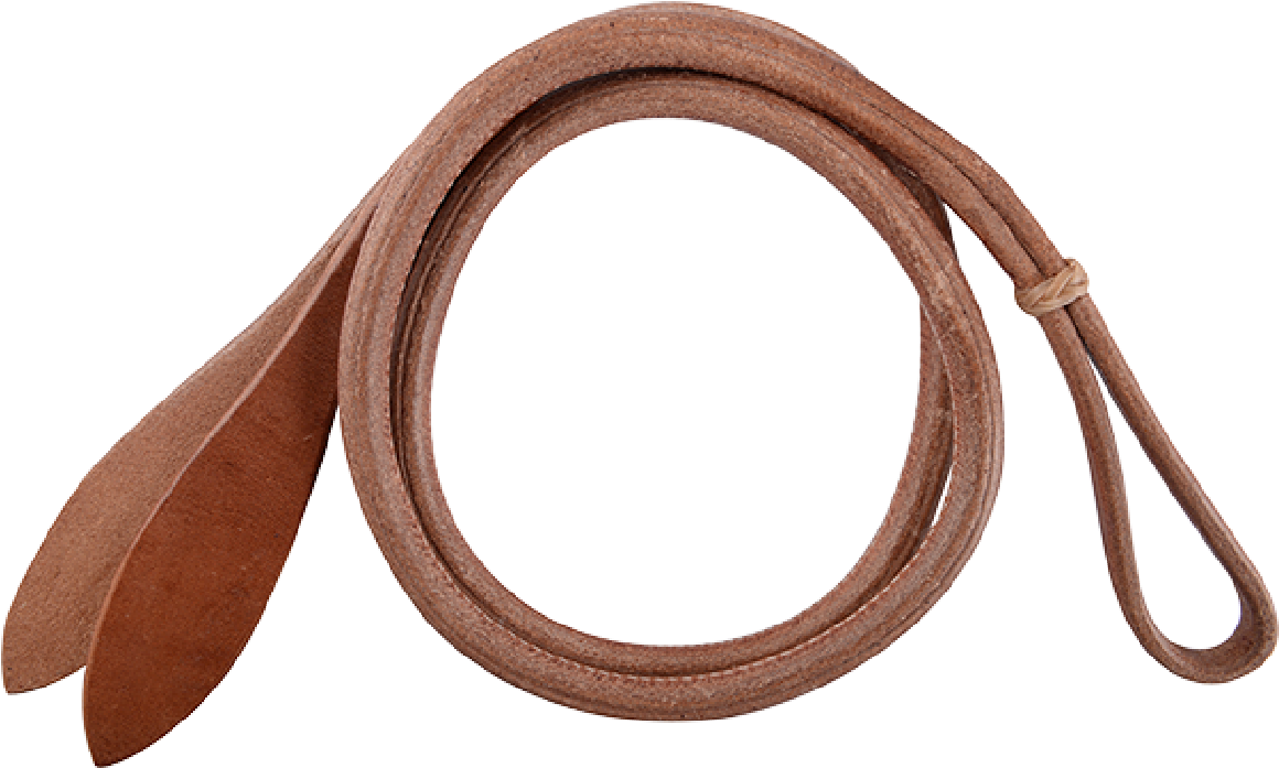 Horse (1200x1200), Png Download