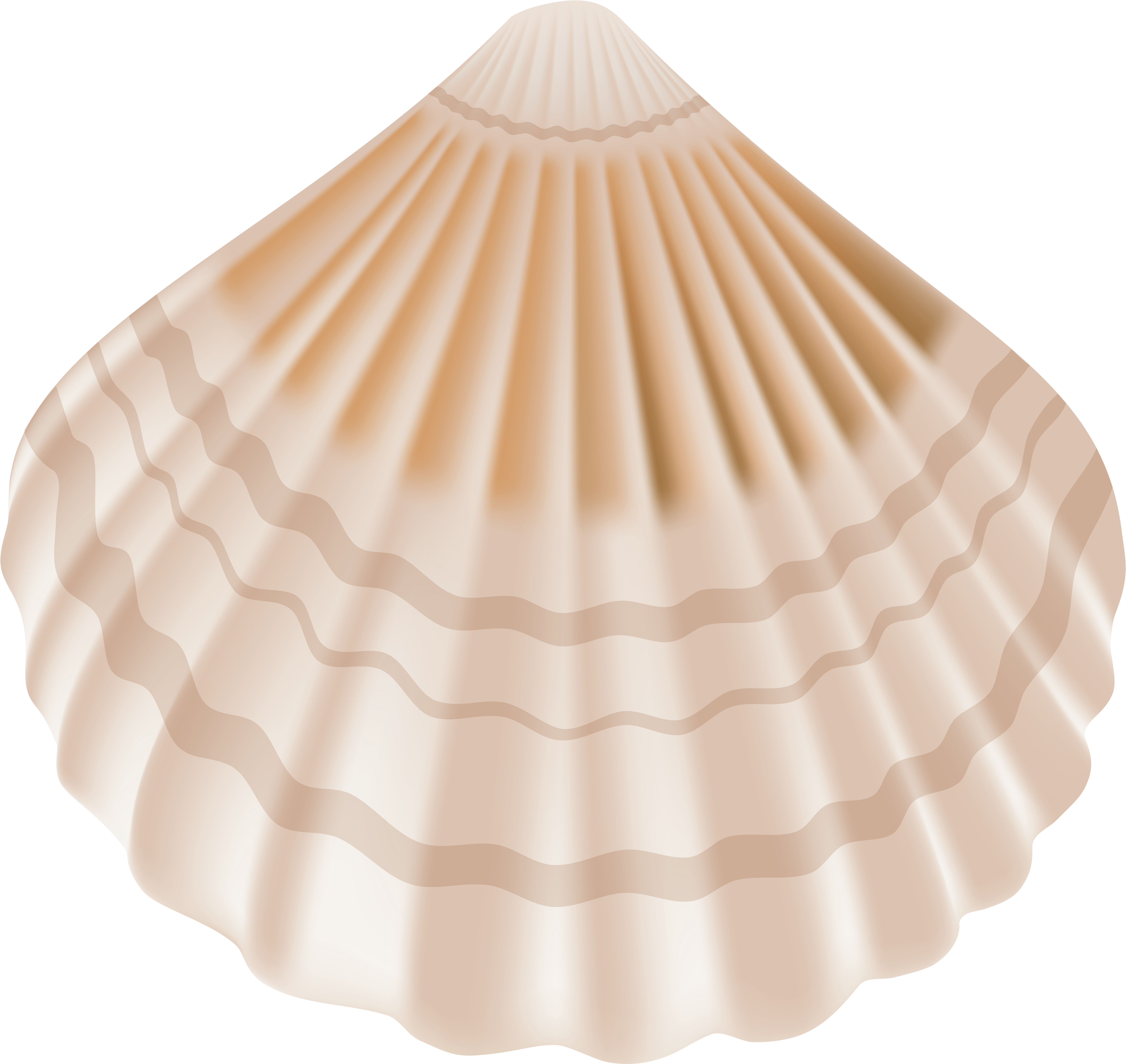 Free Png Seashell Png Images Transparent - Seashell Png (850x804), Png Download