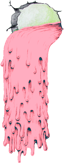 #fantastic #fantastik #inanılmaz #değişik #asthetic - Overlays Transparent Tumblr Flowers (497x707), Png Download