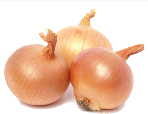 Onion Png Picture - Onion Cambodia (480x429), Png Download