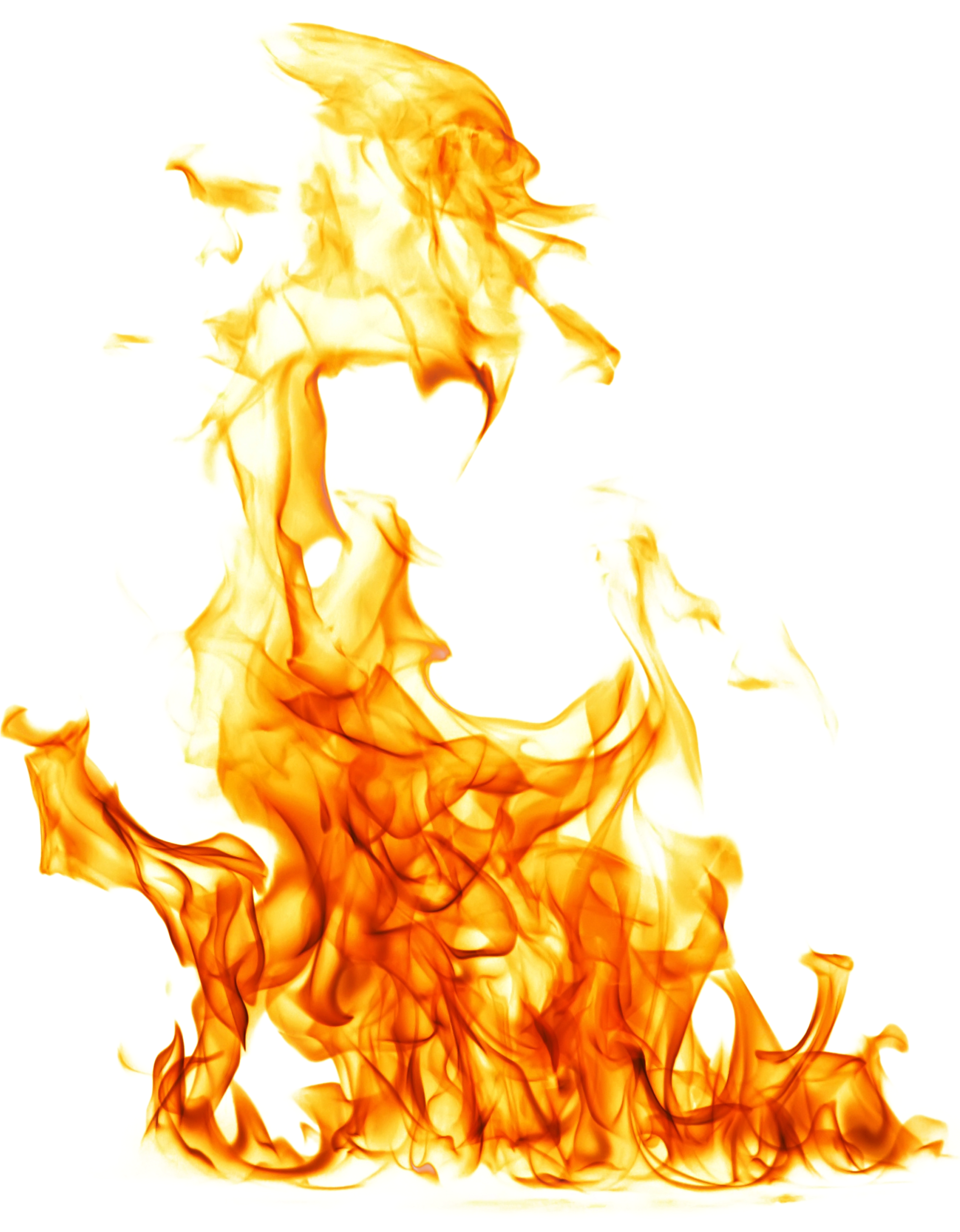 Art Background, Cgi, Picture Frames, Fashion Art, Anonymous, - Skull Shot Glasses Set Of 4 (2256x3248), Png Download