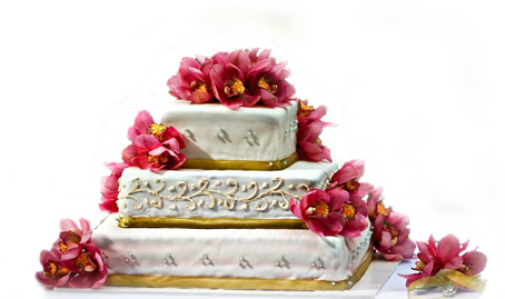 Yummy Cakes India, Cake Banner - Best Cakes In India (453x290), Png Download