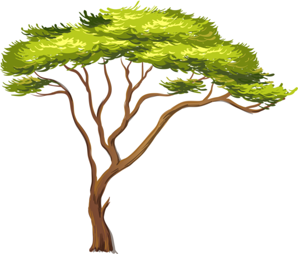 Arbre,png - Becoming A Set-apart Young Lady (600x511), Png Download